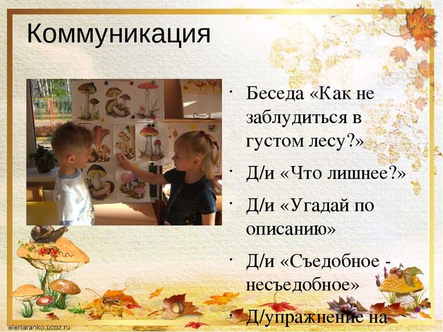 Презентация о том ,что такое грибы.