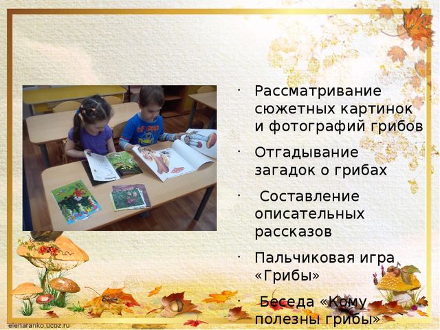 Презентация о том ,что такое грибы.