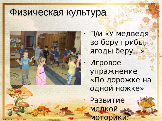 Презентация о том ,что такое грибы.