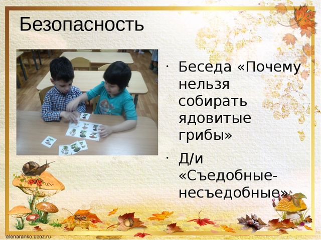 Презентация о том ,что такое грибы.