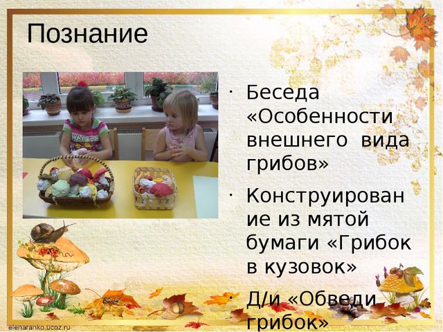 Презентация о том ,что такое грибы.