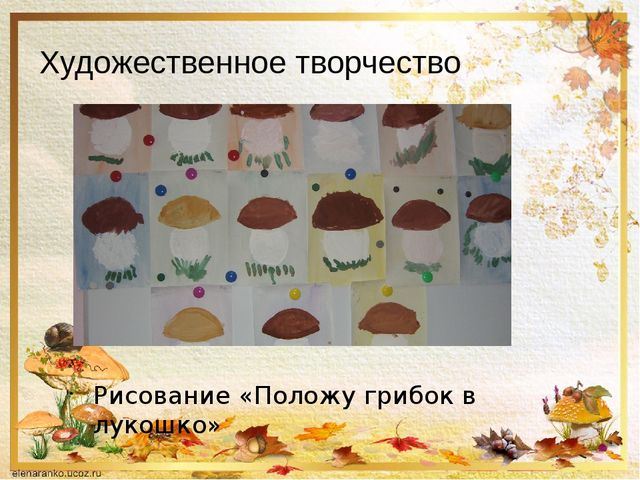 Презентация о том ,что такое грибы.