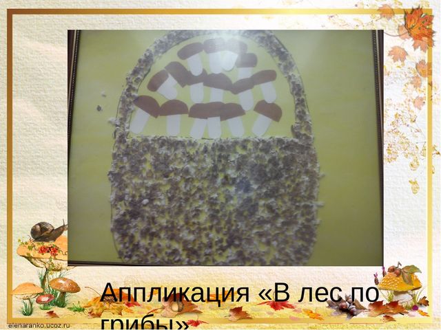 Презентация о том ,что такое грибы.