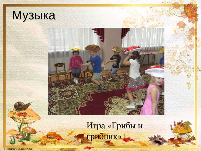 Презентация о том ,что такое грибы.