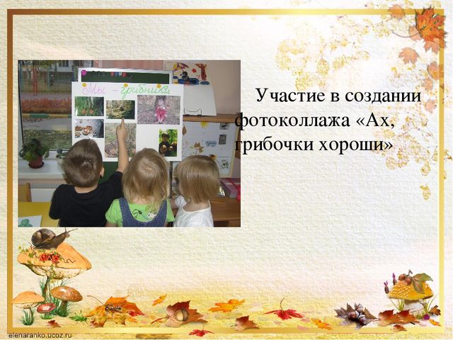 Презентация о том ,что такое грибы.