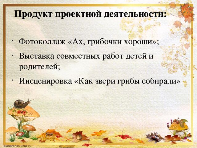 Презентация о том ,что такое грибы.