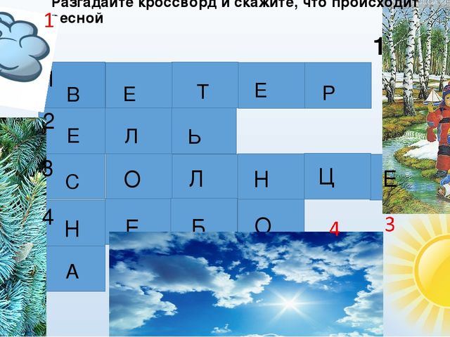 Презентация дидактическая игра: "Весна"