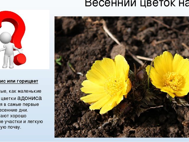 Презентация дидактическая игра: "Весна"