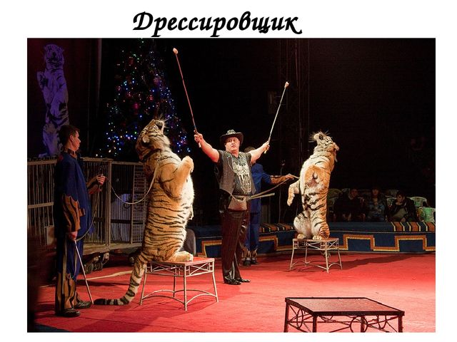 Презентация по познавательному развитию на тему: "Цирк"
