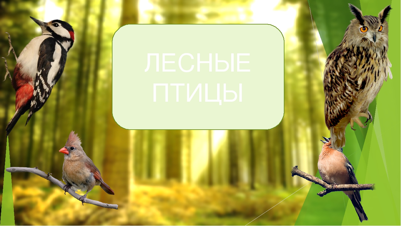 Презентация для детей 4-6лет "Юнные художники"