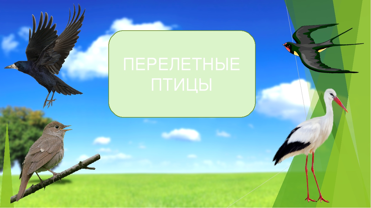 Презентация для детей 4-6лет "Юнные художники"