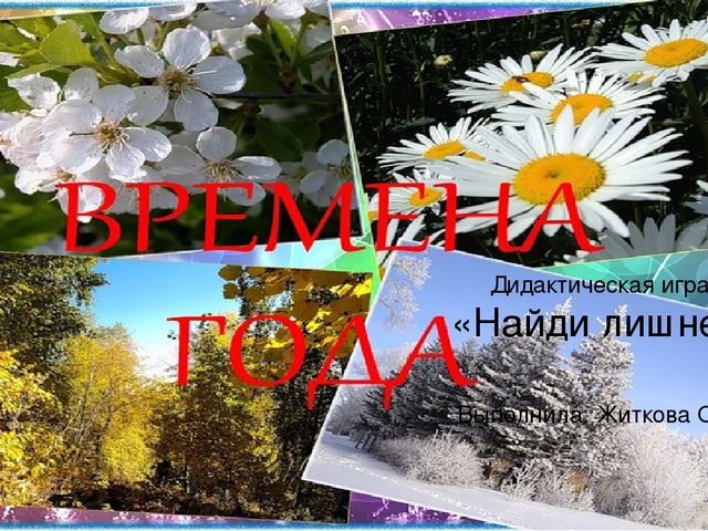 Презентация. Дидактическая игра: " Найди лишнее"