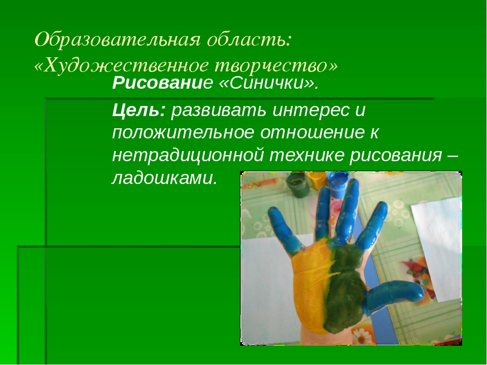 Проект "Птицы родного края"