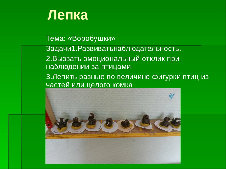 Проект "Птицы родного края"