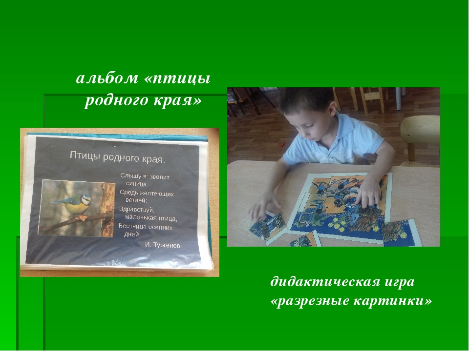 Проект "Птицы родного края"