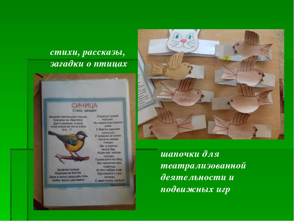 Проект "Птицы родного края"