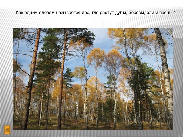 Презентация "Игра-викторина Что? Где? Когда?
