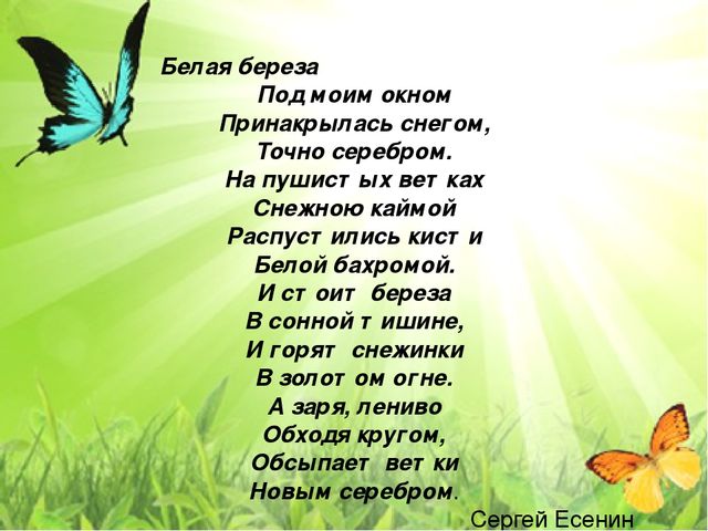 Презентация " Детям об экологии"