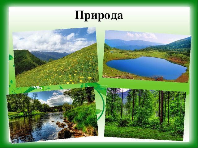 Презентация к уроку - викторине "Зеленая Планета"