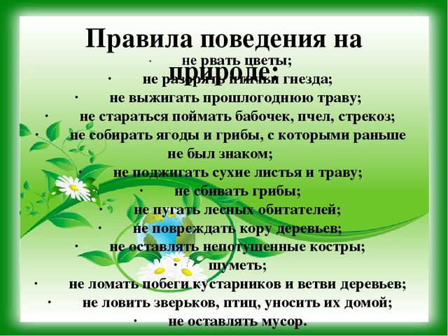 Презентация к уроку - викторине "Зеленая Планета"