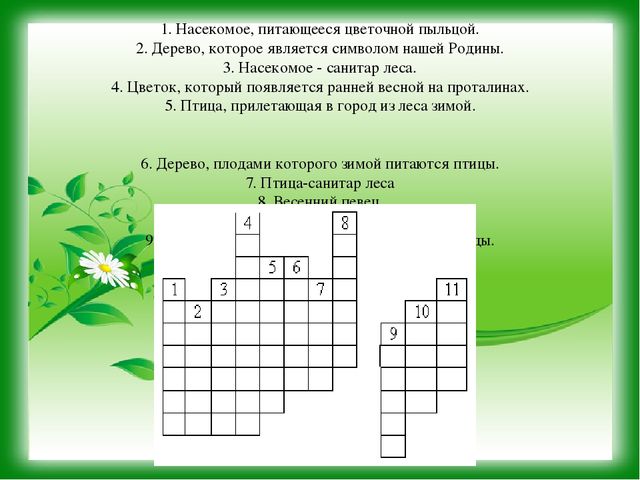 Презентация к уроку - викторине "Зеленая Планета"