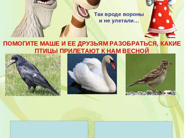 Презентация в младшей группе "Весна"