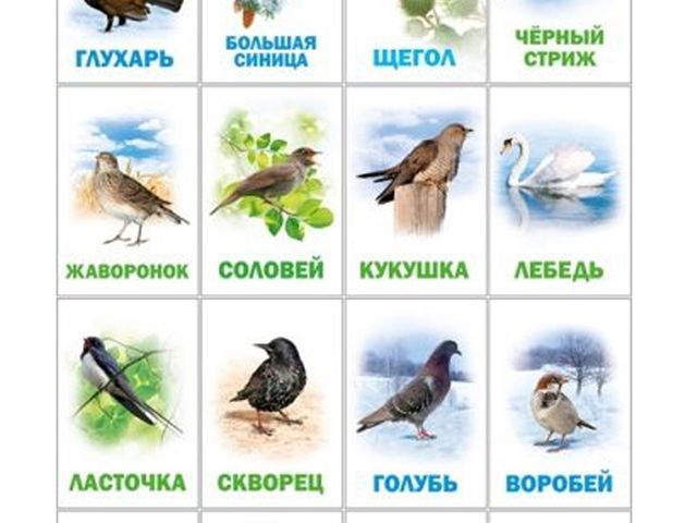 Презентация в младшей группе "Весна"