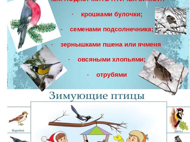 Презентация в младшей группе "Зима"