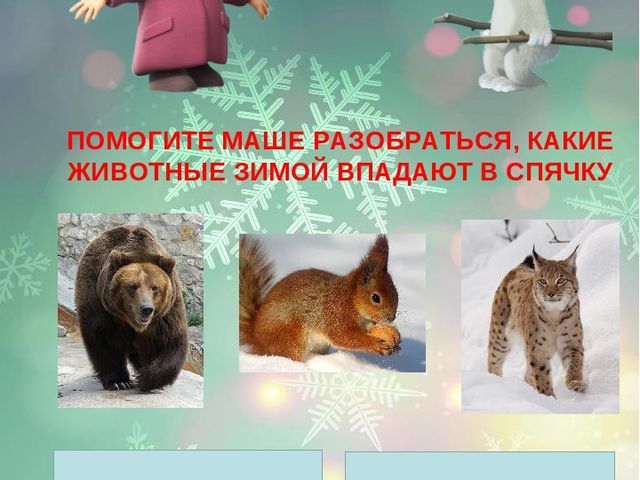Презентация в младшей группе "Зима"
