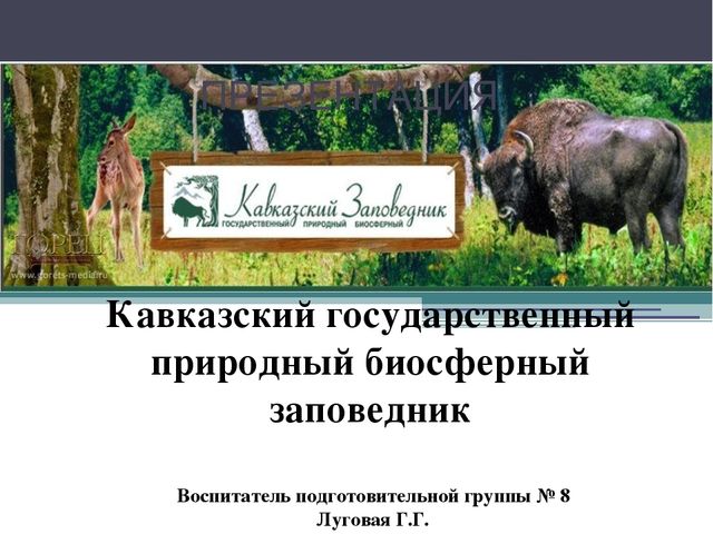 Презентация на тему "Кавказский государственный природный биосферный заповедник"