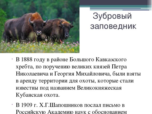Презентация на тему "Кавказский государственный природный биосферный заповедник"