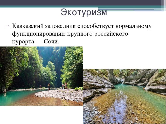 Презентация на тему "Кавказский государственный природный биосферный заповедник"