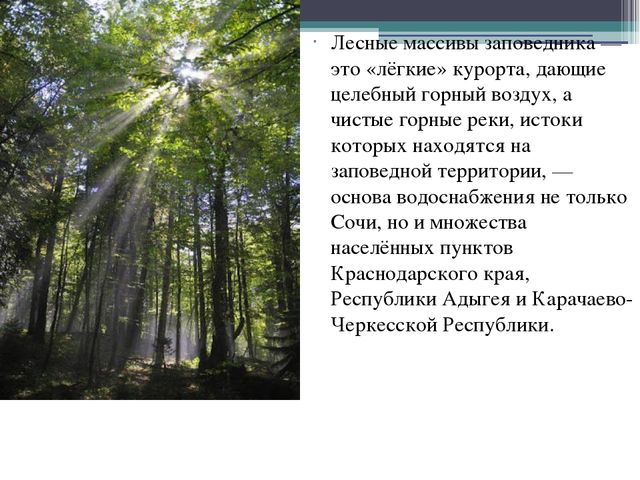 Презентация на тему "Кавказский государственный природный биосферный заповедник"