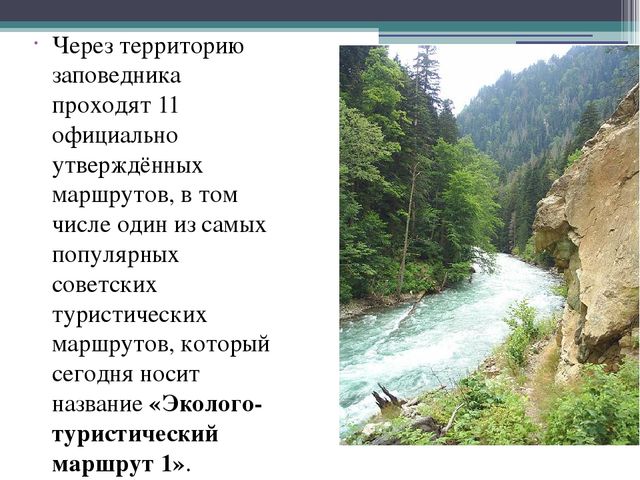 Презентация на тему "Кавказский государственный природный биосферный заповедник"