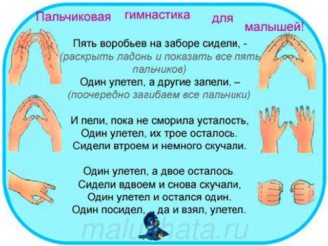 Презентация "Развитие мелкой моторики"