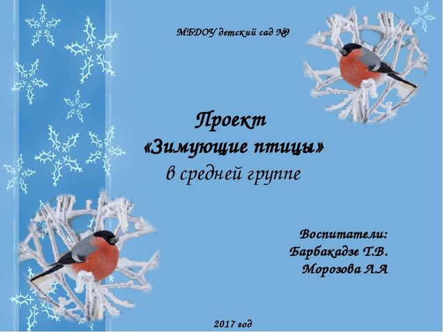 Презентация Проекта "Зимующие птицы"