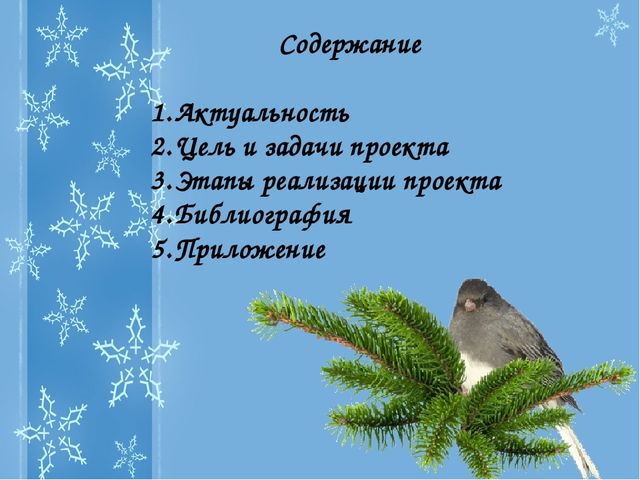 Презентация Проекта "Зимующие птицы"