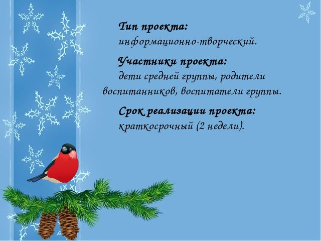 Презентация Проекта "Зимующие птицы"
