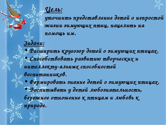 Презентация Проекта "Зимующие птицы"
