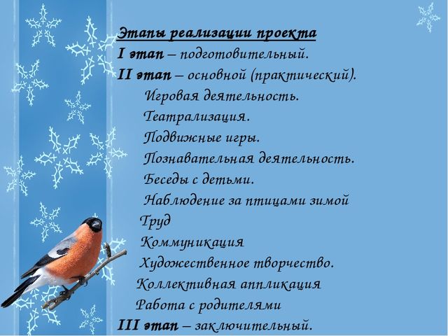 Презентация Проекта "Зимующие птицы"