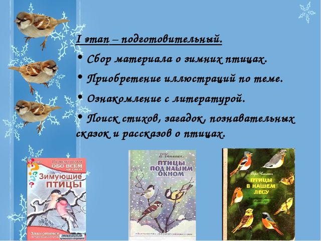 Презентация Проекта "Зимующие птицы"