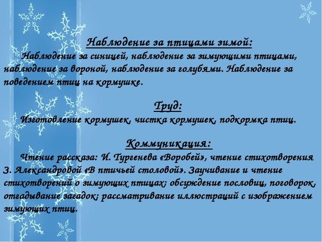 Презентация Проекта "Зимующие птицы"