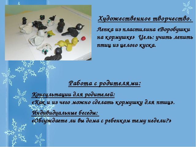 Презентация Проекта "Зимующие птицы"