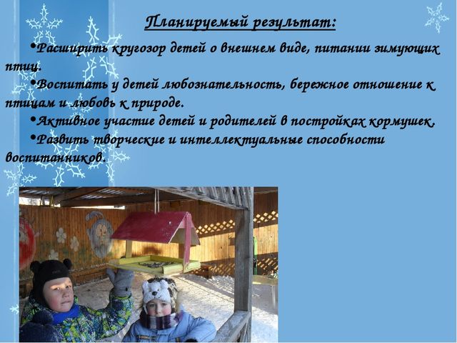 Презентация Проекта "Зимующие птицы"