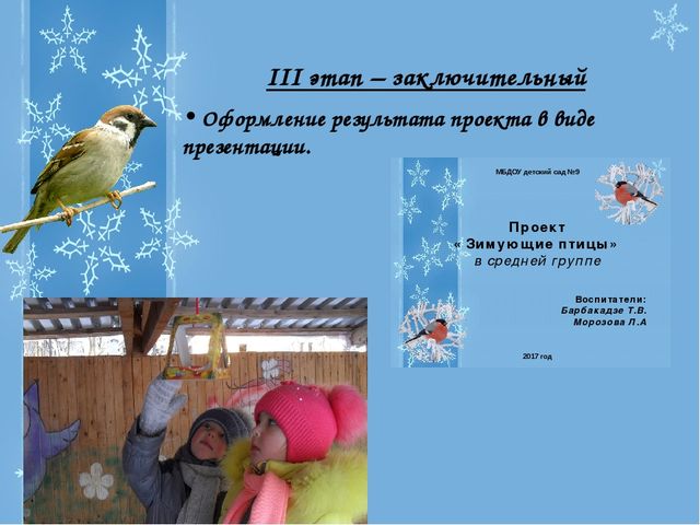 Презентация Проекта "Зимующие птицы"