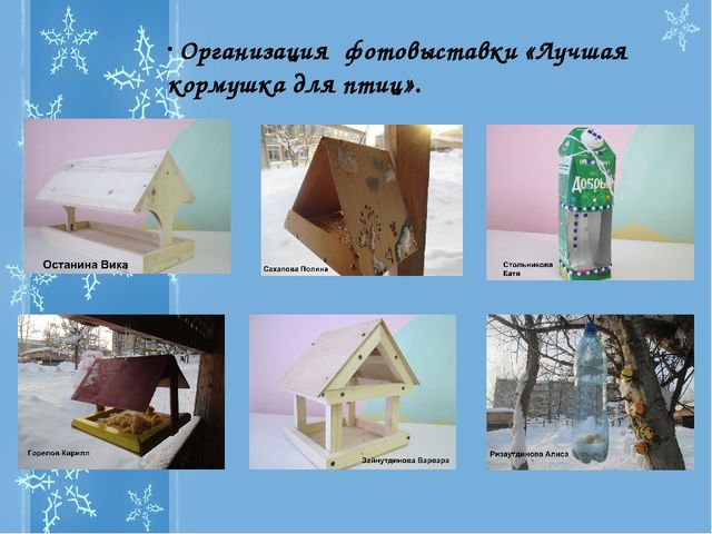 Презентация Проекта "Зимующие птицы"