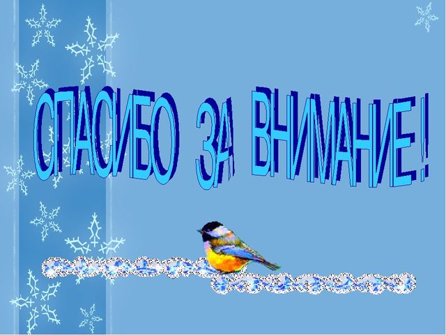 Презентация Проекта "Зимующие птицы"