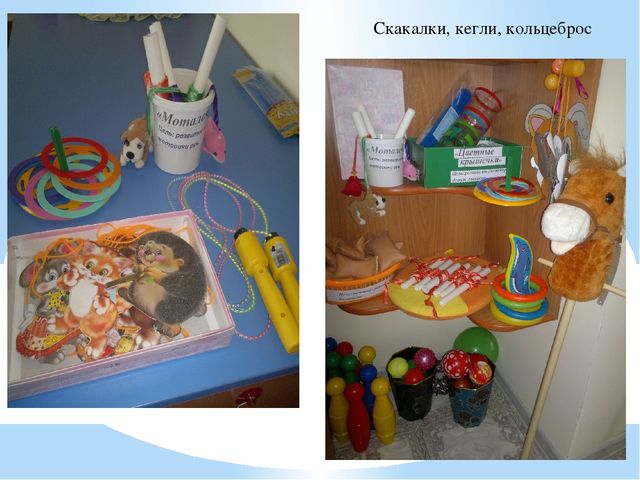 Организация предметно-развивающей среды по «Физическому воспитанию» в ДОУ.