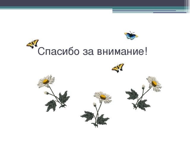 Презентация "основная образовательная программа"