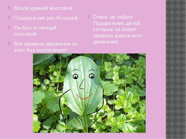 АПрезентация по ПДД на тему " правилам поведения на дороге"